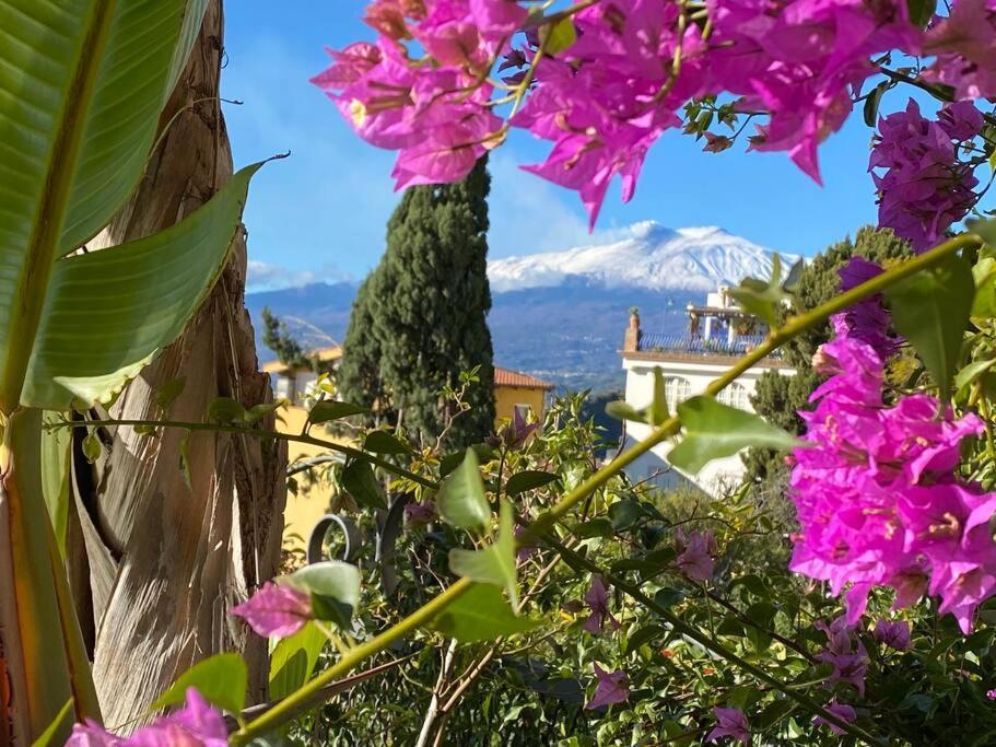 Atelier Taormina Spacious Guesthouse With Pool Extérieur photo